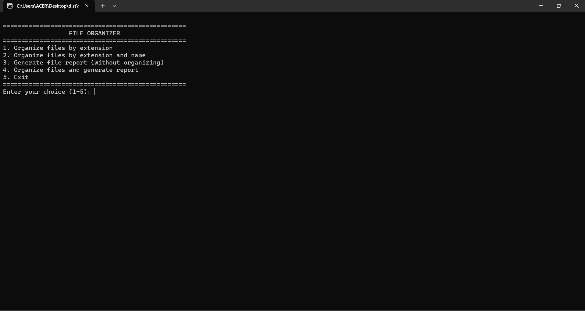 Python File Organizer Project